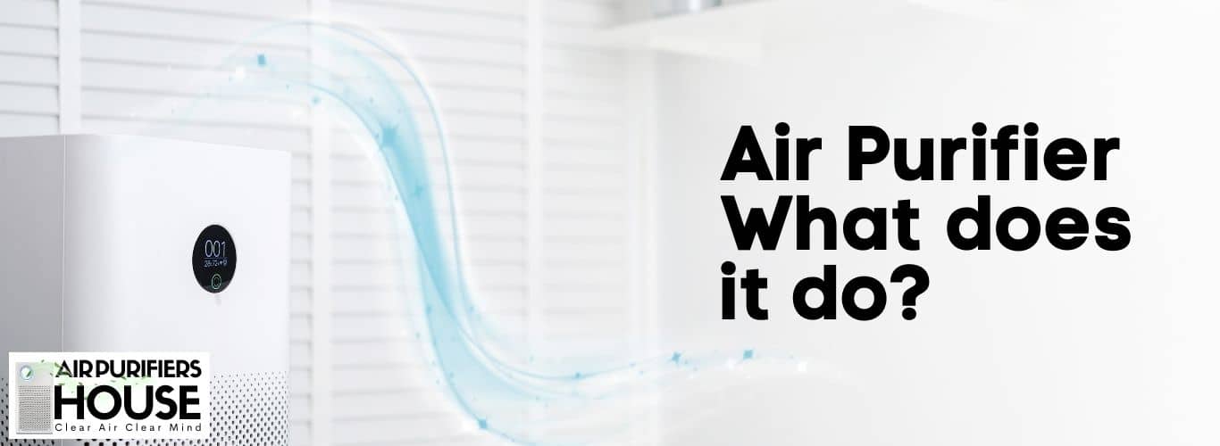 Air Purifier What does it do