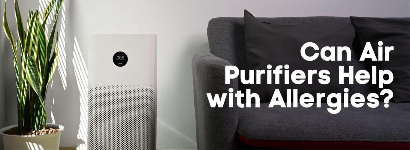 Can Air Purifiers Help with Allergies