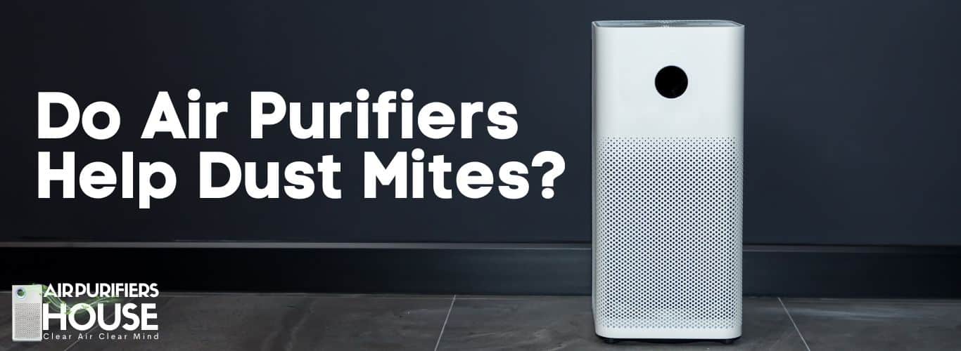 Do Air Purifiers Help with Dust Mites