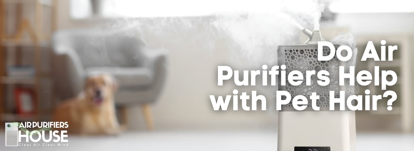 Do Air Purifiers Help with Pet Hair