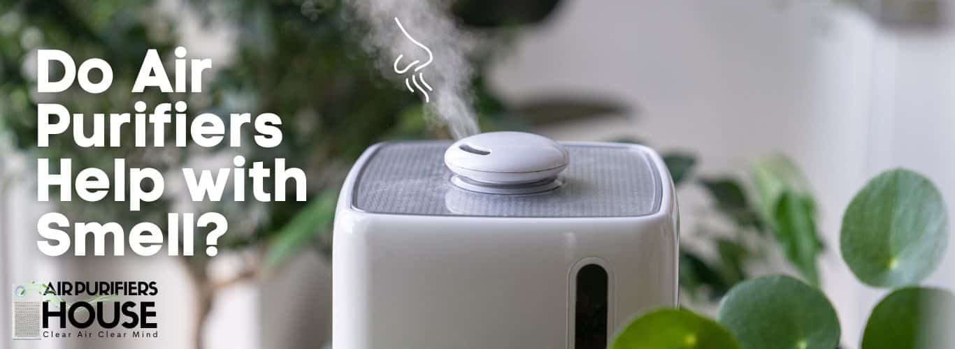 Do Air Purifiers Help with Smell